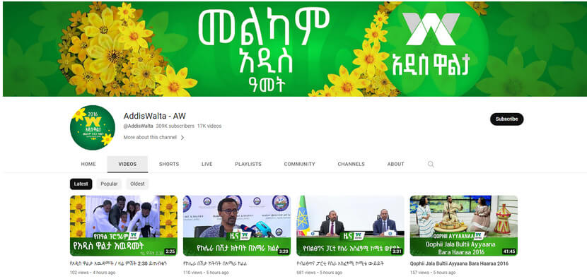 ethiopian youtubers